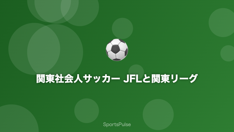 関東社会人サッカー JFLと関東リーグの試合風景