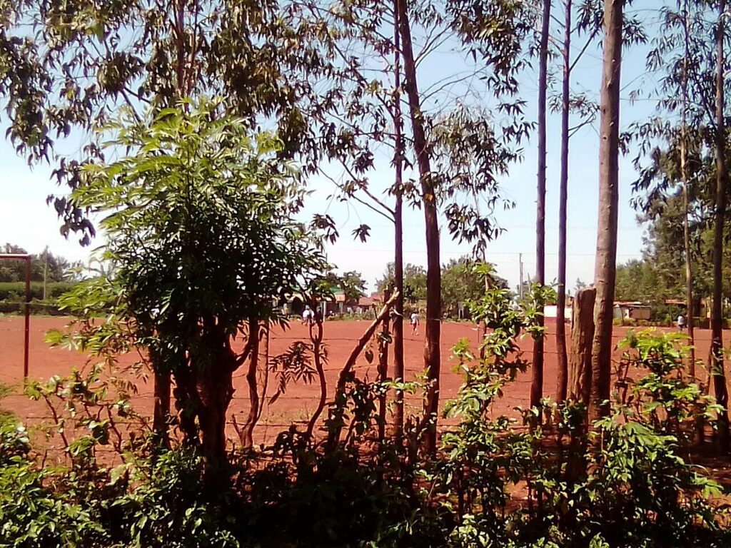 ジュビロ磐田 主力選手紹介【2026年最新版】 | SportsPulse