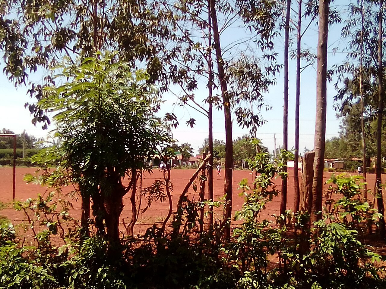 ジュビロ磐田 主力選手紹介【2026年最新版】 | SportsPulse