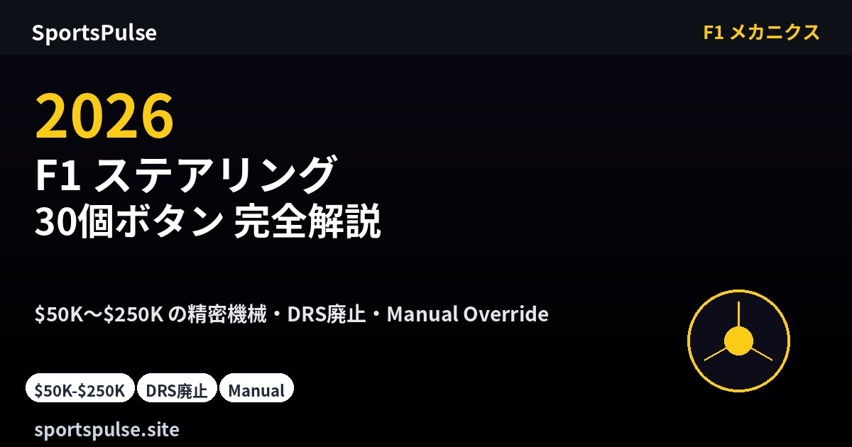 F1 ステアリング 30個ボタン完全解説 カーボン製の精密機械